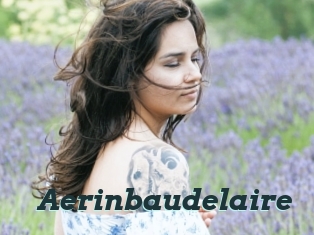 Aerinbaudelaire