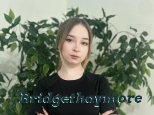 Bridgethaymore