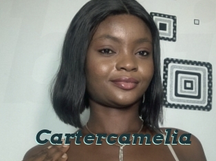 Cartercamelia