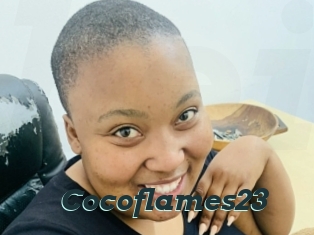 Cocoflames23