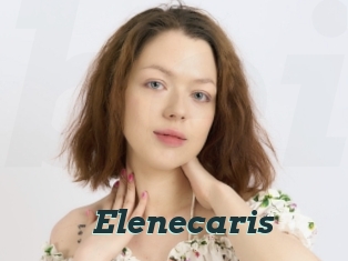 Elenecaris