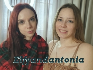 Elfyandantonia