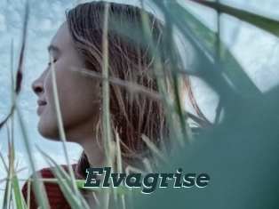 Elvagrise