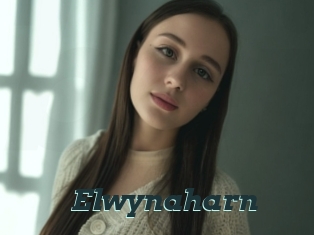 Elwynaharn