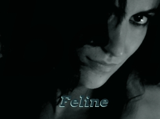 Feline
