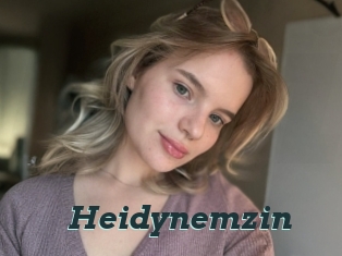 Heidynemzin