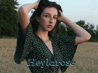 Heylarose