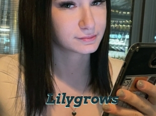 Lilygrows