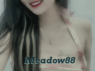 Meadow88