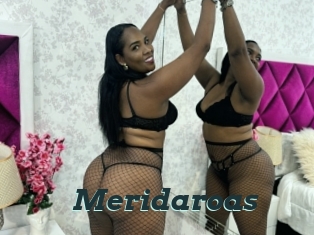 Meridaroas