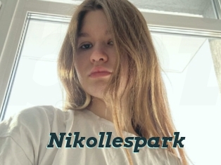 Nikollespark