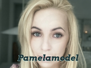 Pamelamodel