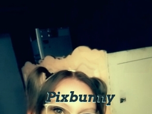 Pixbunny