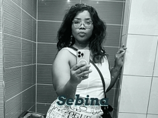 Sebina