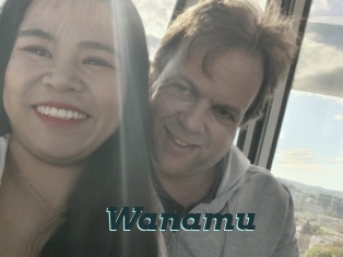 Wanamu