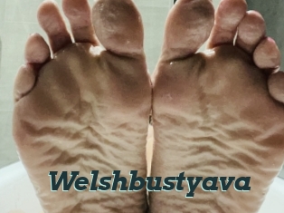 Welshbustyava