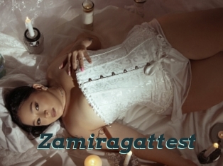 Zamiragattest